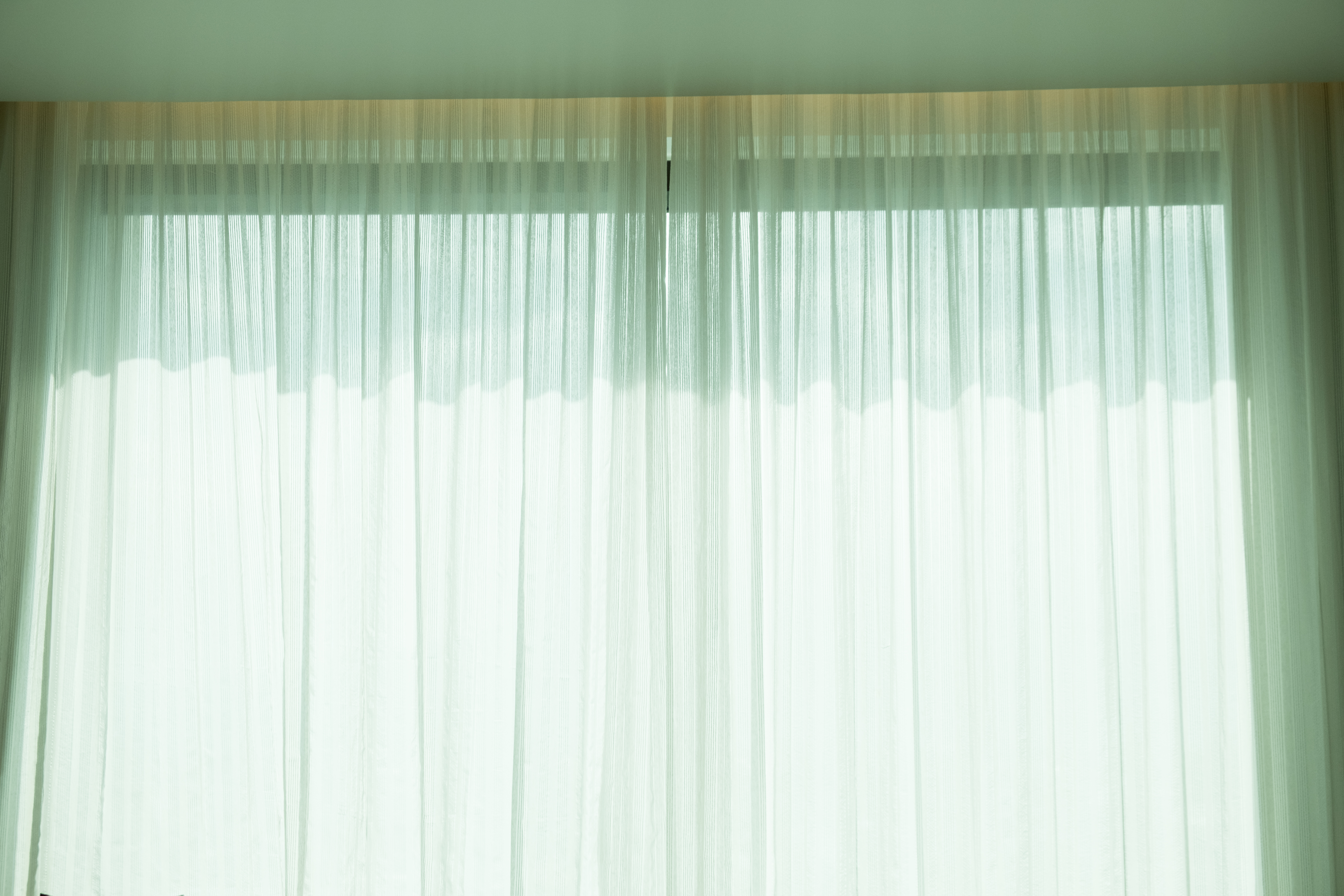 shutterstock_1504007504